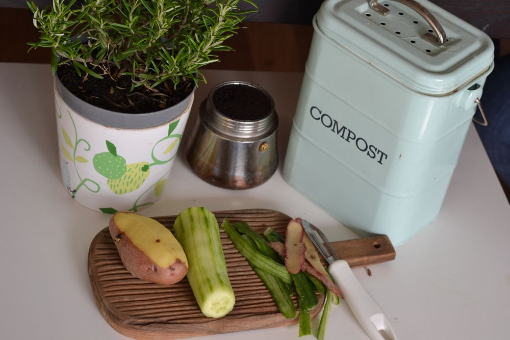 Vegetable scraps and a compost bin